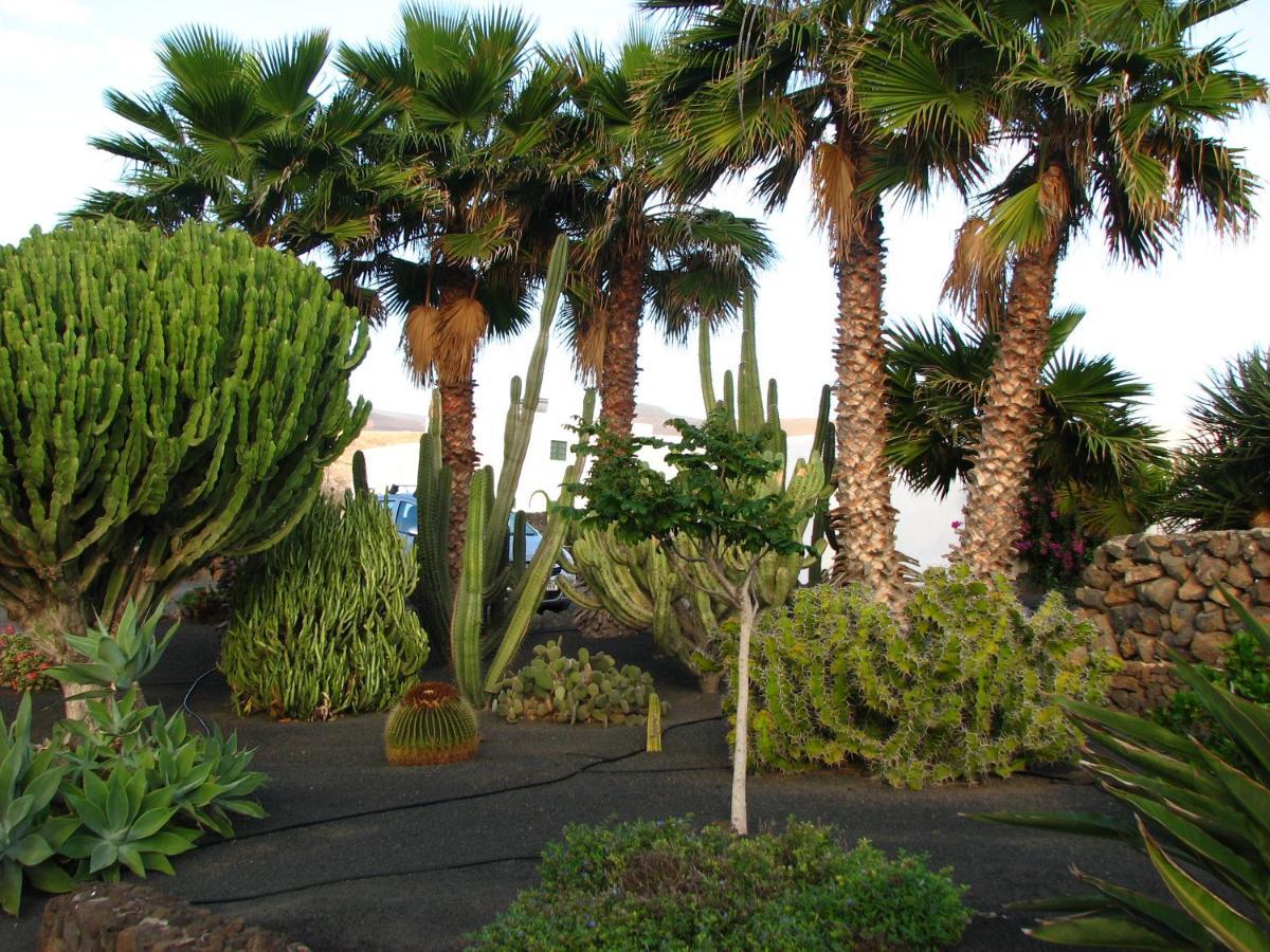 Casa Para Ti - Botanica Puerto del Carmen  Bagian luar foto